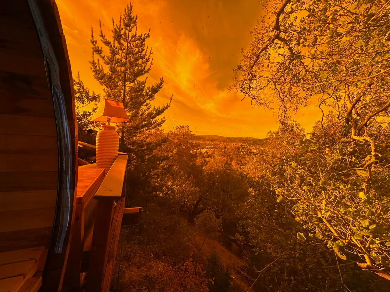 View from inside the wood sauna out across the treetops to a golden sunset sky